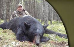 Let Steeprock Rivers' experienced guides find you a trophy black bear like the one pictured here!