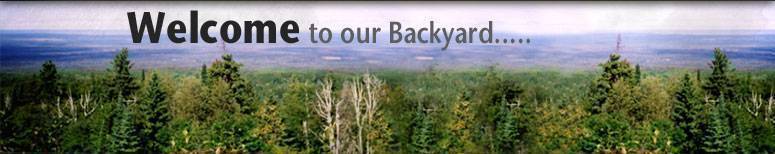 The natural Manitoba habitat with trophy whitetail bucks and black bear guided hunts.