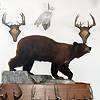 Lifesize Full Bear Mount: click to enlarge.
