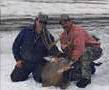 177 B&C trophy whitetail buck taken in Manitoba Canada.